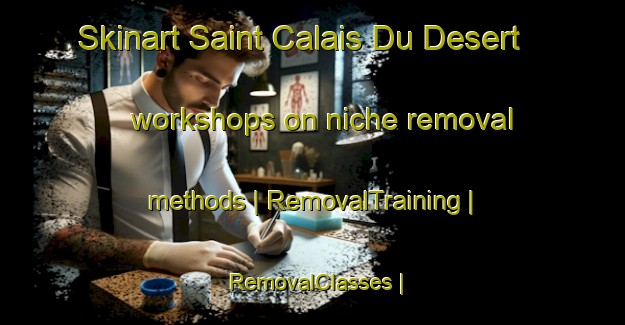 Skinart Saint Calais Du Desert workshops on niche removal methods | RemovalTraining | RemovalClasses | SkinartTraining-France